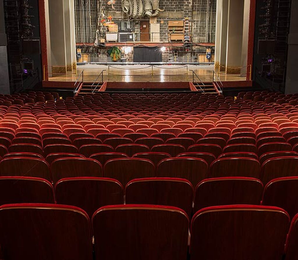 Minskoff Theatre Fixed Audience Seating By Irwin Seating With Model 17 ...